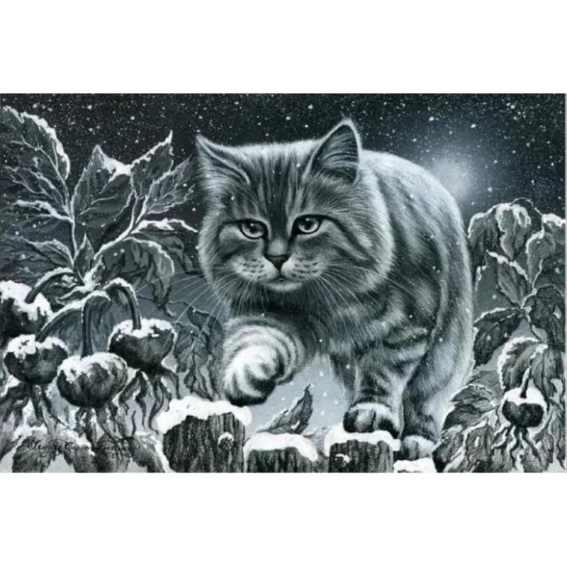 DIY full round/square drill gray cat snow needle cross stitch diamond mosaic diamond painting embroidery home decoration v1678
DIY full round/square drill gray cat snow needle cross stitch diamond mosaic diamond painting embroidery home decoration v1678