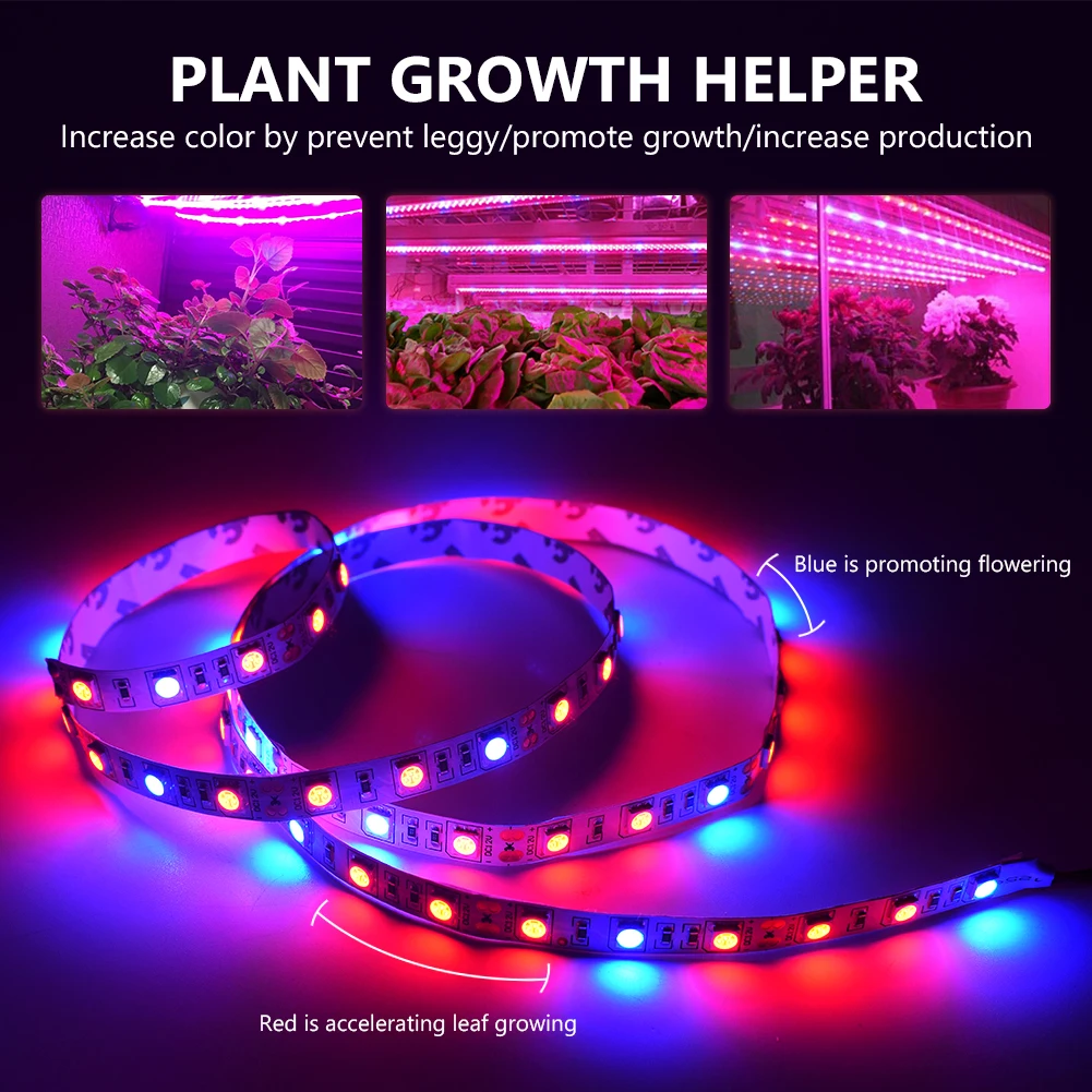 TSLEEN 5050 LED Strip Growing Light 3M 4M 5M 220V Wide Spectrum Plant Lamp For Garden Greenhouse IP65 Waterproof Growth Lamp Kit
TSLEEN 5050 LED Strip Growing Light 3M 4M 5M 220V Wide Spectrum Plant Lamp For Garden Greenhouse IP65 Waterproof Growth Lamp Kit