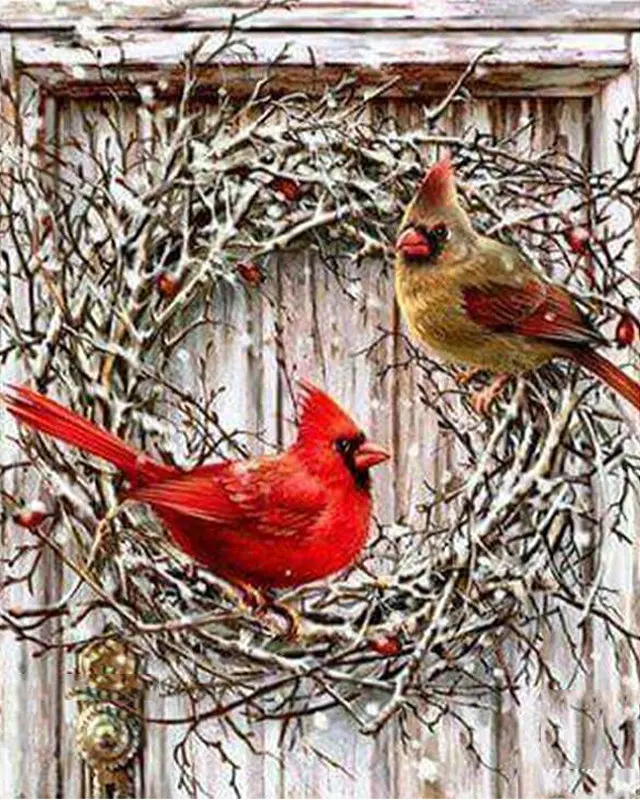 800-640-brid (2)