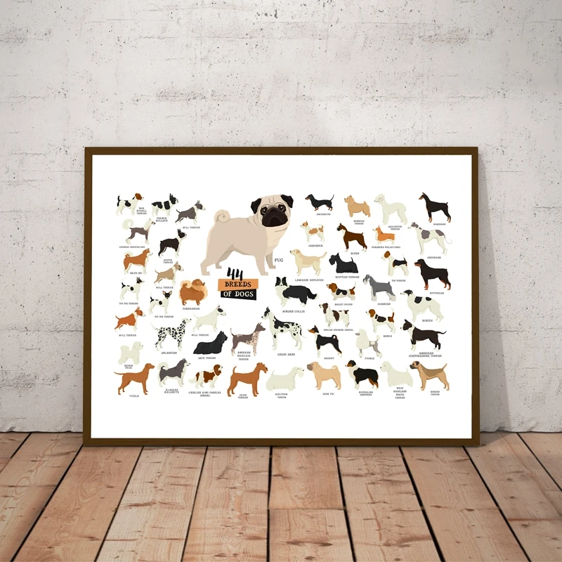 Breeds of Dogs Collection Illustration Poster Wall Art Canvas Painting Picture Dog Lover Gift idea Nordic Posters Home Decor
Breeds of Dogs Collection Illustration Poster Wall Art Canvas Painting Picture Dog Lover Gift idea Nordic Posters Home Decor