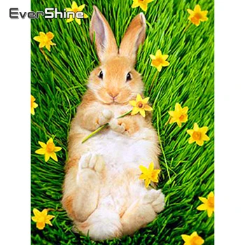 Evershine 5D DIY Diamond Painting Full Drill Square Rabbit Cross Stitch Diamond Embroidery Sale Animals Diamond Mosaic Beadwork
Evershine 5D DIY Diamond Painting Full Drill Square Rabbit Cross Stitch Diamond Embroidery Sale Animals Diamond Mosaic Beadwork