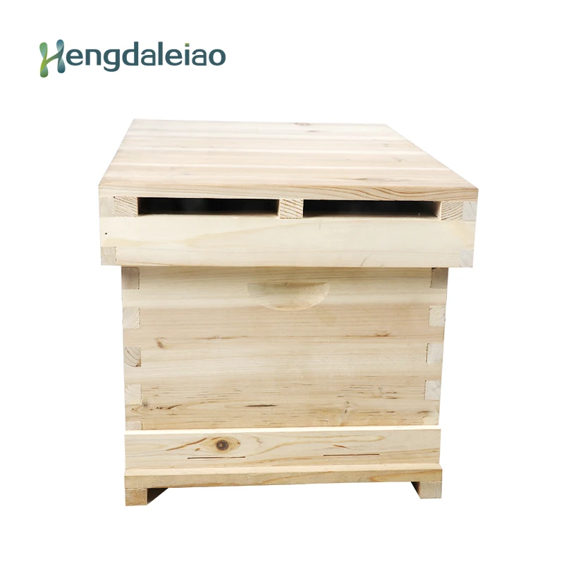 Beekeeping Tools/Equipment Standard Fir Wood Beehive with 7 Frames for Beekeeper
Beekeeping Tools/Equipment Standard Fir Wood Beehive with 7 Frames for Beekeeper