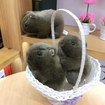 Nooer Cute Mouse Plush Toy For Children Boys Stuffed Dolls Plush Toys Birthday Gift Soft Toy For Boy Kids Stuffed Doll
Nooer Cute Mouse Plush Toy For Children Boys Stuffed Dolls Plush Toys Birthday Gift Soft Toy For Boy Kids Stuffed Doll
