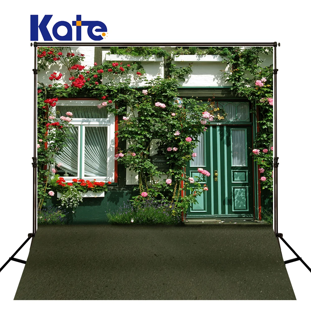 

300Cm*200Cm(About 10Ft*6.5Ft) Fundo Curtain Doors Plants3D Baby Photography Backdrop Background Lk 1935