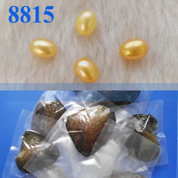 10 pcs free shipping PROMOTION pearl oyster 6-8mm natural assorted color drop pearl in freshwater oyster with vacuum-packed
10 pcs free shipping PROMOTION pearl oyster 6-8mm natural assorted color drop pearl in freshwater oyster with vacuum-packed