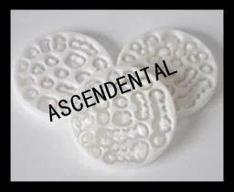 98x18mm Dental Zicronia CAD CAM Block,High Translcuent for Coping,Crown and Bridge Lab Clinic material for Crown and Bridge,
98x18mm Dental Zicronia CAD CAM Block,High Translcuent for Coping,Crown and Bridge Lab Clinic material for Crown and Bridge,