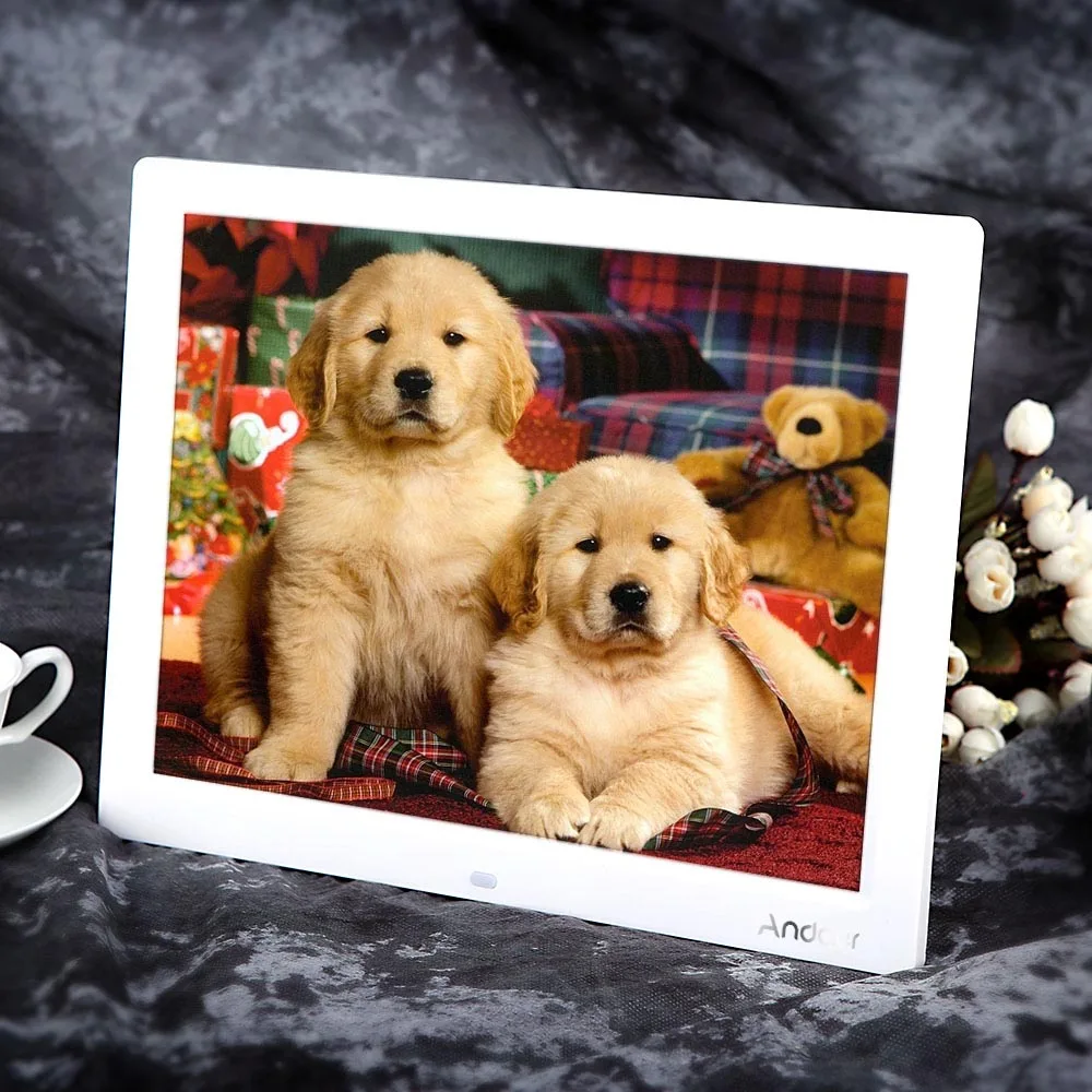 DE/ES STOCK Andoer 15'' HD TFT-LCD Digital Photo Frame 1024*768 Electronic Frame Clock MP3 MP4 Movie Player with Remote Desktop
DE/ES STOCK Andoer 15'' HD TFT-LCD Digital Photo Frame 1024*768 Electronic Frame Clock MP3 MP4 Movie Player with Remote Desktop