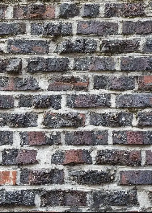 SHENGYONGBAO Vinyl Custom Photography Backdrops Prop Wall and floor theme Photo Studio Background SYO-03
SHENGYONGBAO Vinyl Custom Photography Backdrops Prop Wall and floor theme Photo Studio Background SYO-03