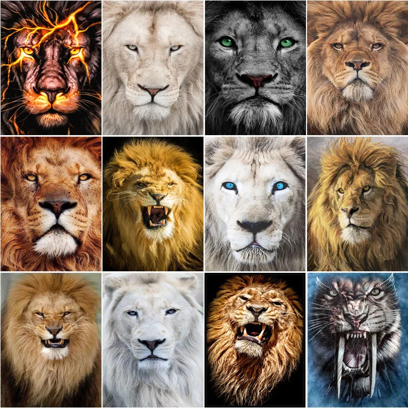 DIY Full Diamond Embroidered Lion 5d Diamond Painting Cross Stitch Kit Diamond Painting Animal Mosaic Picture
DIY Full Diamond Embroidered Lion 5d Diamond Painting Cross Stitch Kit Diamond Painting Animal Mosaic Picture