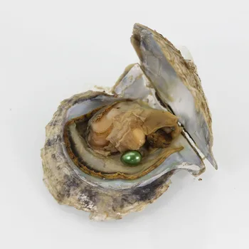 Women Designer DIY Jewelry Akoya Shell Wish Rice Pearl Oyster Vacuum-packed 7-8mm Green Natural Real Pearls in Oysters AO017
Women Designer DIY Jewelry Akoya Shell Wish Rice Pearl Oyster Vacuum-packed 7-8mm Green Natural Real Pearls in Oysters AO017