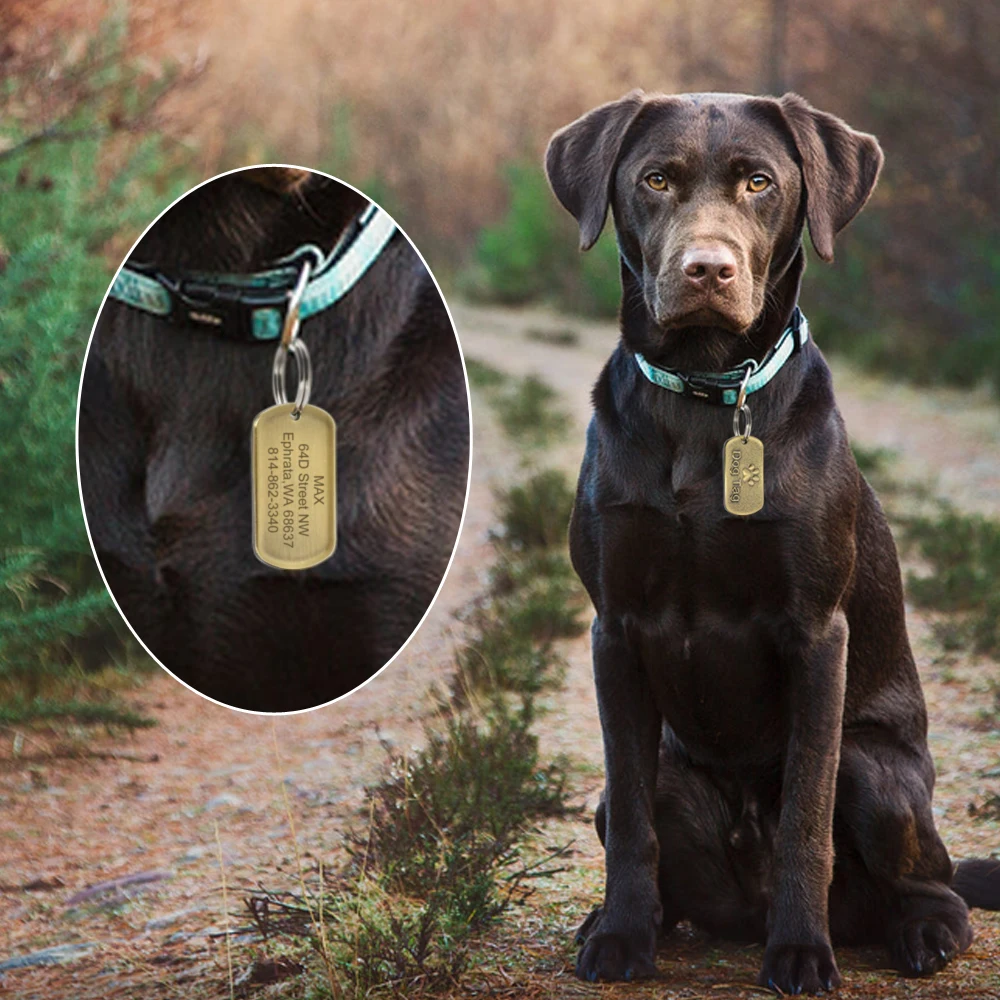 Personalized Engraved Dog Tag Custom Military Id Tags Pet 