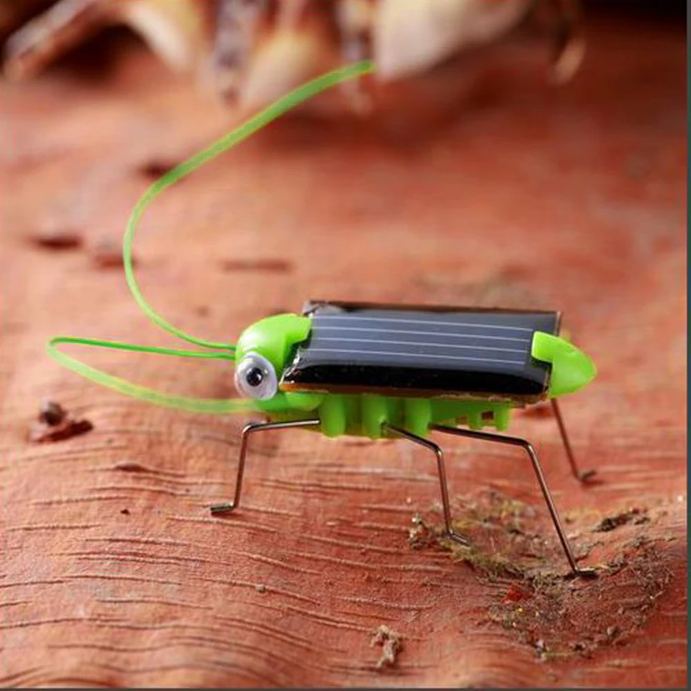 Solar Powered Simulation Grasshopper Solar energy Educational Toy for Kids safe novel high quality
Solar Powered Simulation Grasshopper Solar energy Educational Toy for Kids safe novel high quality
