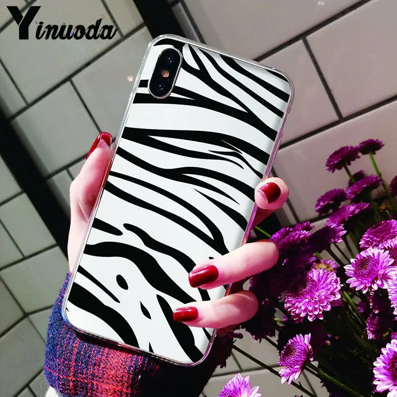 Animal Black white Zebra Stripe