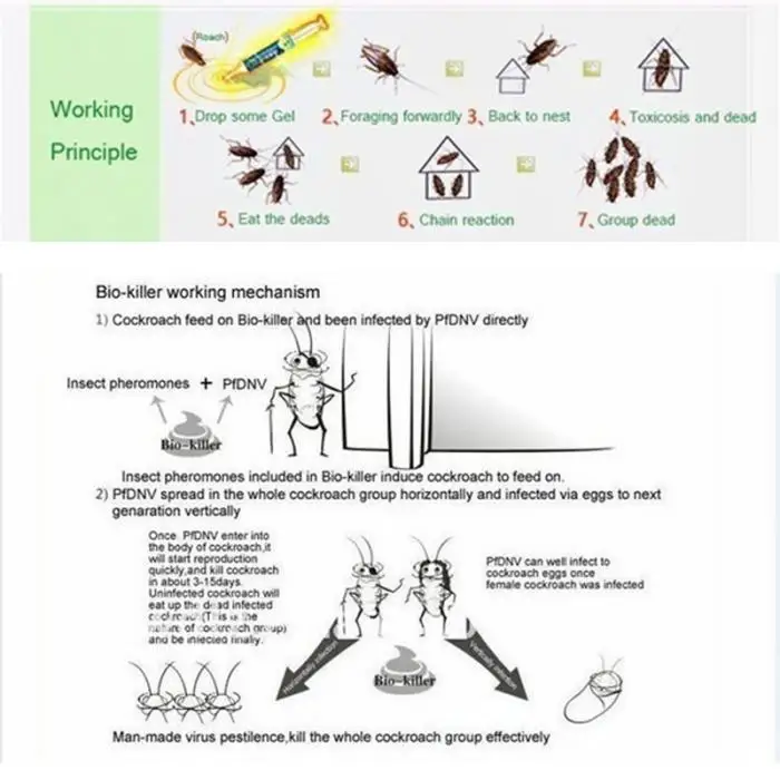 Garden Supplies Powerful Anti Cockroach Pesticide Control Gel Bait Drug Poison Nest Environmental Friendly Genuine Syring 10g
