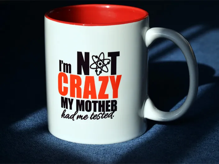 TBBT the Big Bang theory I am not crazy my mother had me tested cute mug cup
TBBT the Big Bang theory I am not crazy my mother had me tested cute mug cup