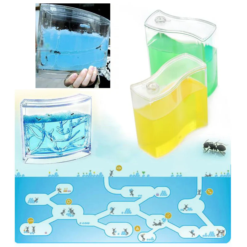 Pet Toy Farm Insect Ant Ecology Mania Home Habitat Castle Maze Ant Nursery Children Gifts Ecological Toys Insects Box
Pet Toy Farm Insect Ant Ecology Mania Home Habitat Castle Maze Ant Nursery Children Gifts Ecological Toys Insects Box