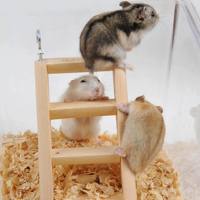 Hamster Natural Wooden Ladder Small Animals Pets Rat Climbing Toys Cage Accessory
Hamster Natural Wooden Ladder Small Animals Pets Rat Climbing Toys Cage Accessory