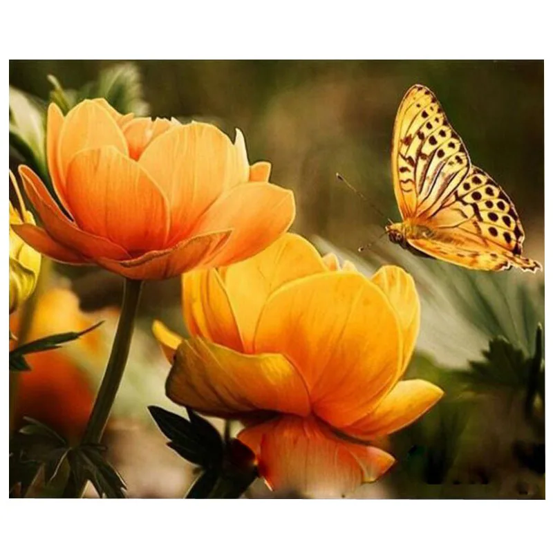 Frameless colorful floral butterfly abstract DIY digital oil painting for home wall art picture
Frameless colorful floral butterfly abstract DIY digital oil painting for home wall art picture