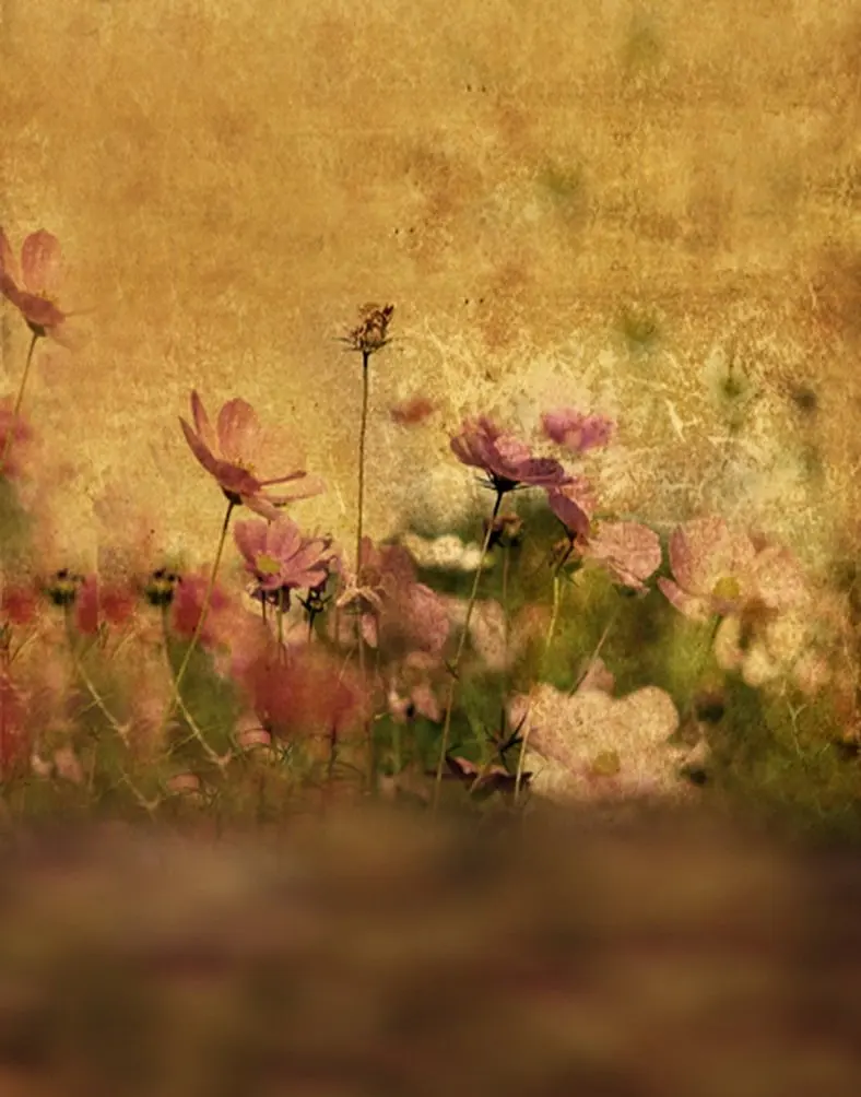 5x7ft Pink Flowers Photography Backdrops Photo Props Studio Background