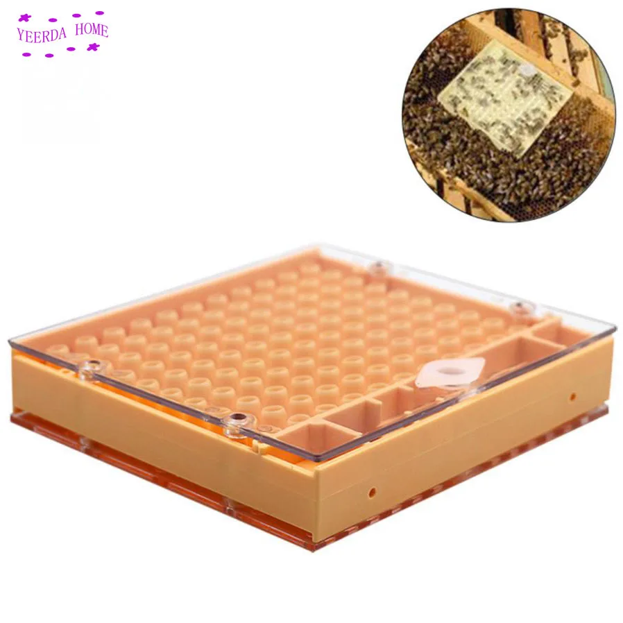 Bee Queen Rearing Cupkit Box 110x Brown Cell CupsSystem Cupularve Tools Bee Keeper Apiculture Supplier beekeeping
Bee Queen Rearing Cupkit Box 110x Brown Cell CupsSystem Cupularve Tools Bee Keeper Apiculture Supplier beekeeping