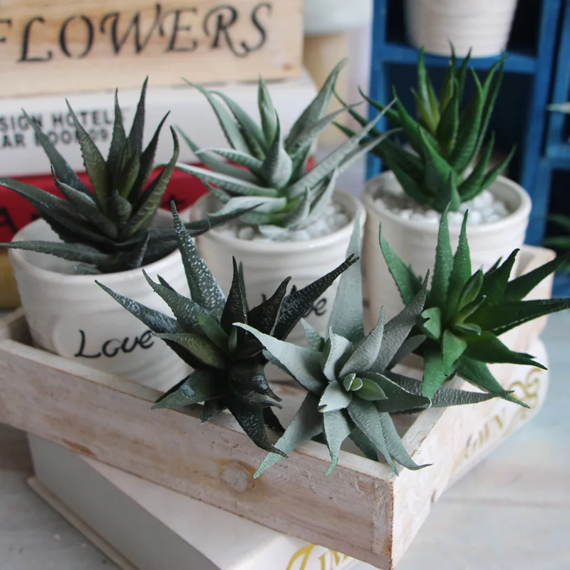 Artificial Cactus Aloe Succulent Plant Bonsai Flower Micro Landscape Home Balcony Decoration
Artificial Cactus Aloe Succulent Plant Bonsai Flower Micro Landscape Home Balcony Decoration