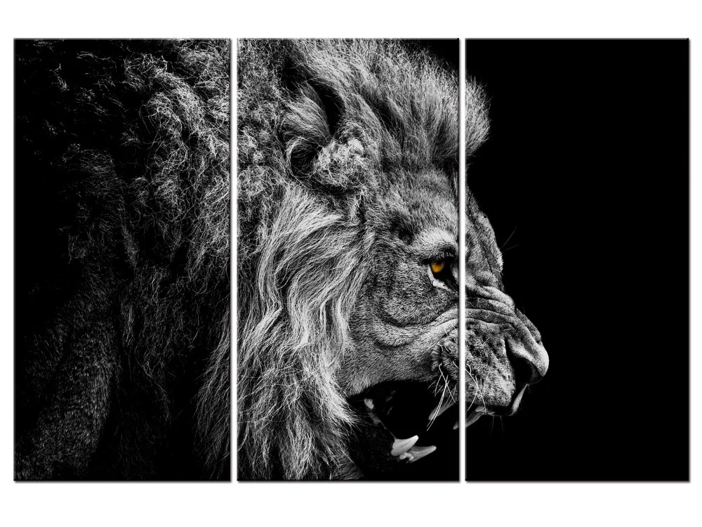 3 pieces / set HD Printed Animal Male Lion Wall Art Painting Canvas Print Room decor print poster Picture Canvas
3 pieces / set HD Printed Animal Male Lion Wall Art Painting Canvas Print Room decor print poster Picture Canvas