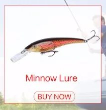 minnow