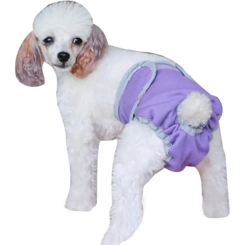 Attractive Cool Lovely Washable Diapers Sanitary Male Dog Protector Pant Large Male Dog Pants Dog Clothes For Small Dogs Perro
Attractive Cool Lovely Washable Diapers Sanitary Male Dog Protector Pant Large Male Dog Pants Dog Clothes For Small Dogs Perro