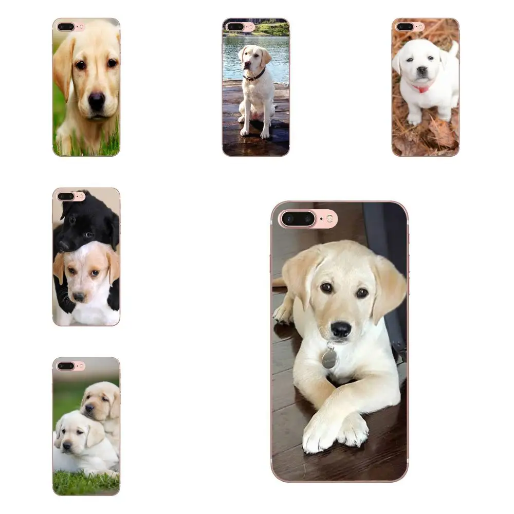 Labrador Puppies Dog TPU Coque Case Capa For Huawei P7 P8 P9 P10 P20 P30 Lite Mini Plus Pro 2017 2018 2019
Labrador Puppies Dog TPU Coque Case Capa For Huawei P7 P8 P9 P10 P20 P30 Lite Mini Plus Pro 2017 2018 2019