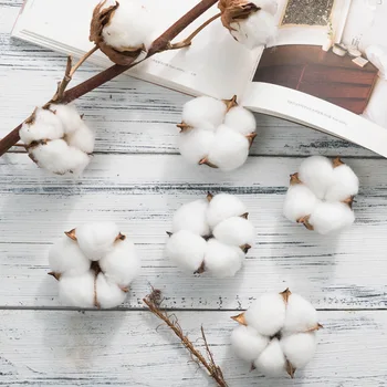 Artificial Dried Cotton Flower White Cotton Simulation Flower Holy Poetic Style Wedding Decoration for Home Party Office
Artificial Dried Cotton Flower White Cotton Simulation Flower Holy Poetic Style Wedding Decoration for Home Party Office