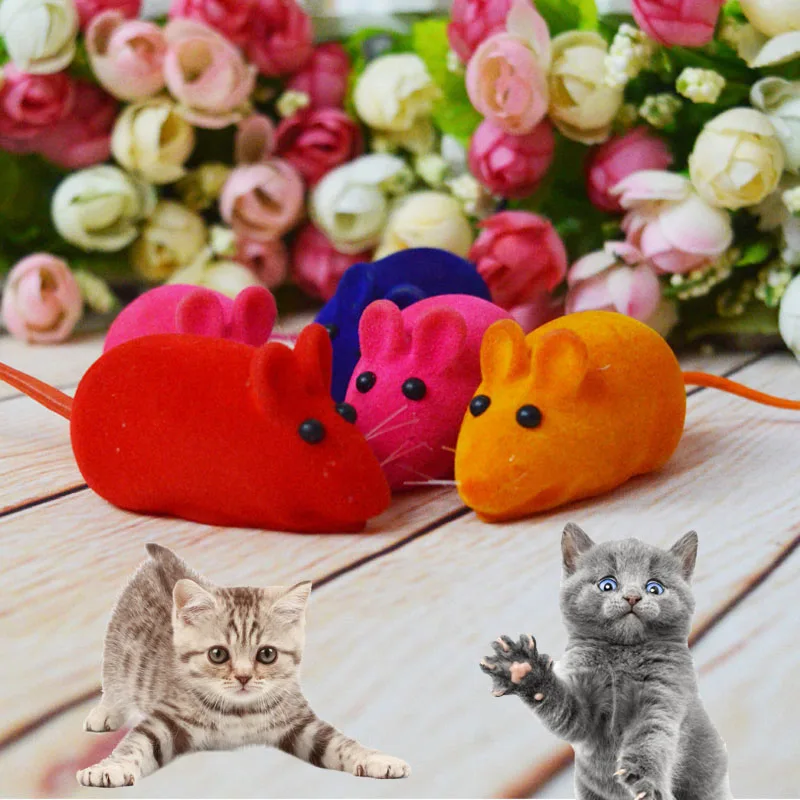 Cat Kitten Catching Toy False Mouse Rat Squeak Noise Sound Toys For Cats Dogs Pets Best Price
Cat Kitten Catching Toy False Mouse Rat Squeak Noise Sound Toys For Cats Dogs Pets Best Price