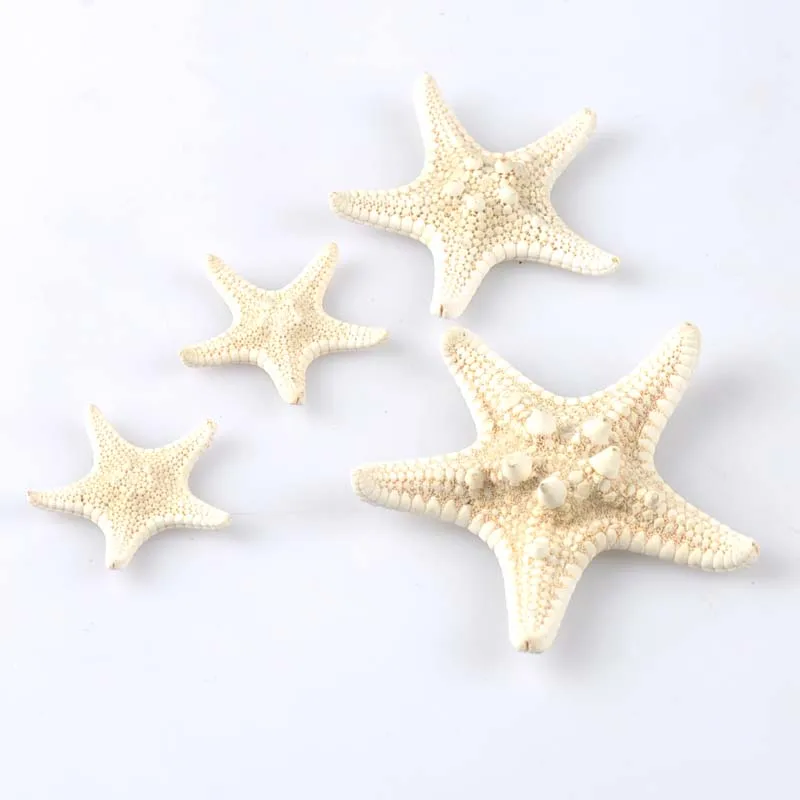 Natural Starfish BEIGE color Scrapbooking Carft for party Home decoration 4pcs 2-6CM CP1802
Natural Starfish BEIGE color Scrapbooking Carft for party Home decoration 4pcs 2-6CM CP1802