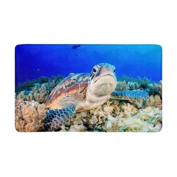 Green Turtle on The Sea Bed Indoor Entrance Doormat, Backing Non Slip Door Mat Entrance Rugs Home Decor
Green Turtle on The Sea Bed Indoor Entrance Doormat, Backing Non Slip Door Mat Entrance Rugs Home Decor