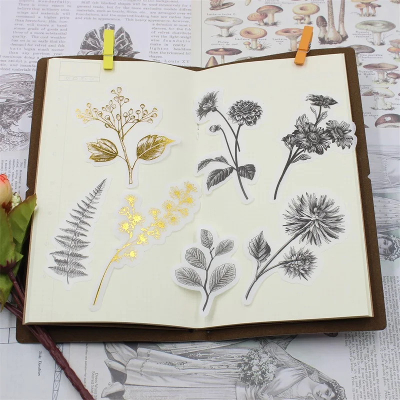 60pcs Vintage Leaves Vellum Stickers for Scrapbooking Happy Planner/Card Making/Journaling Project
60pcs Vintage Leaves Vellum Stickers for Scrapbooking Happy Planner/Card Making/Journaling Project