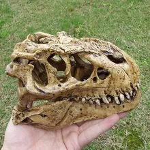 free shipping Resin dinosaur rex skull model rex skull specimen simulation model dinosaur skeleton model
free shipping Resin dinosaur rex skull model rex skull specimen simulation model dinosaur skeleton model