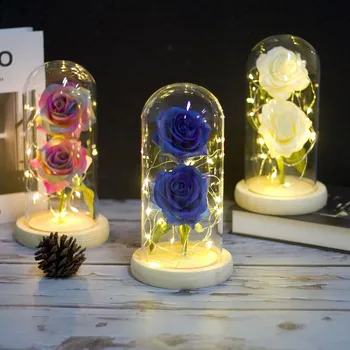 Beauty Went Up Beast Fed By String Light Battery Romantic Table Light Red Flower Girls Present From Mother's Day Christmas Gift
Beauty Went Up Beast Fed By String Light Battery Romantic Table Light Red Flower Girls Present From Mother's Day Christmas Gift
