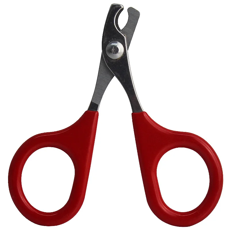 Pet Cat Dog Nail Clipper Small Animal Claw Scissors Puppy Kitten Toe Cutter Pet Grooming Tool Steel Nail Cutter Dog Toe Scissor
Pet Cat Dog Nail Clipper Small Animal Claw Scissors Puppy Kitten Toe Cutter Pet Grooming Tool Steel Nail Cutter Dog Toe Scissor
