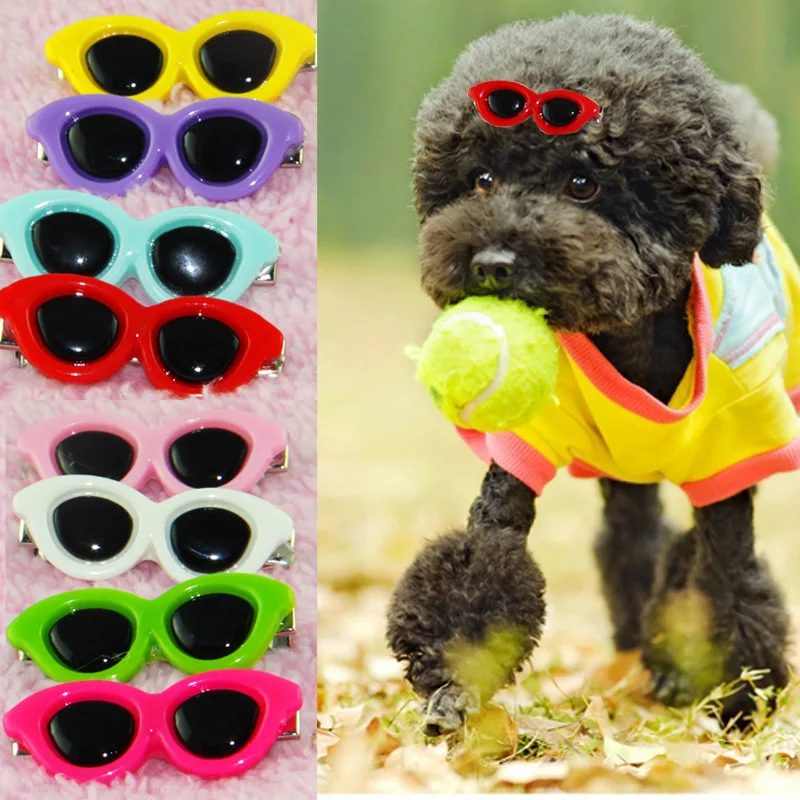 Pet Dog Cat Hair Clips Lovely Heart Sunglasses Hairpin Plastic Puppy Hair Clip Pets Eyeglass Eyewear Headdress Hair Barrette
Pet Dog Cat Hair Clips Lovely Heart Sunglasses Hairpin Plastic Puppy Hair Clip Pets Eyeglass Eyewear Headdress Hair Barrette