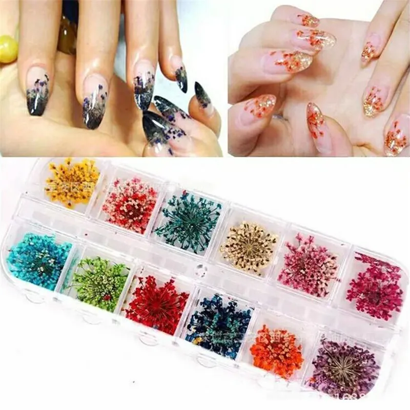 Real Dry Dried Flower Nail Sticker 12 Colors 3D Decoration For UV Gel Acrylic False Nail Art Tips Salon Slices Decal
Real Dry Dried Flower Nail Sticker 12 Colors 3D Decoration For UV Gel Acrylic False Nail Art Tips Salon Slices Decal