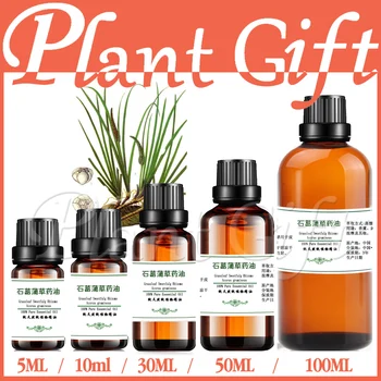 Herbal medicine oil Acorus gramineus herbal oil Essential oils RHIZOMA ACORI TATARINOWII/Grassleaf Sweelflag
Herbal medicine oil Acorus gramineus herbal oil Essential oils RHIZOMA ACORI TATARINOWII/Grassleaf Sweelflag