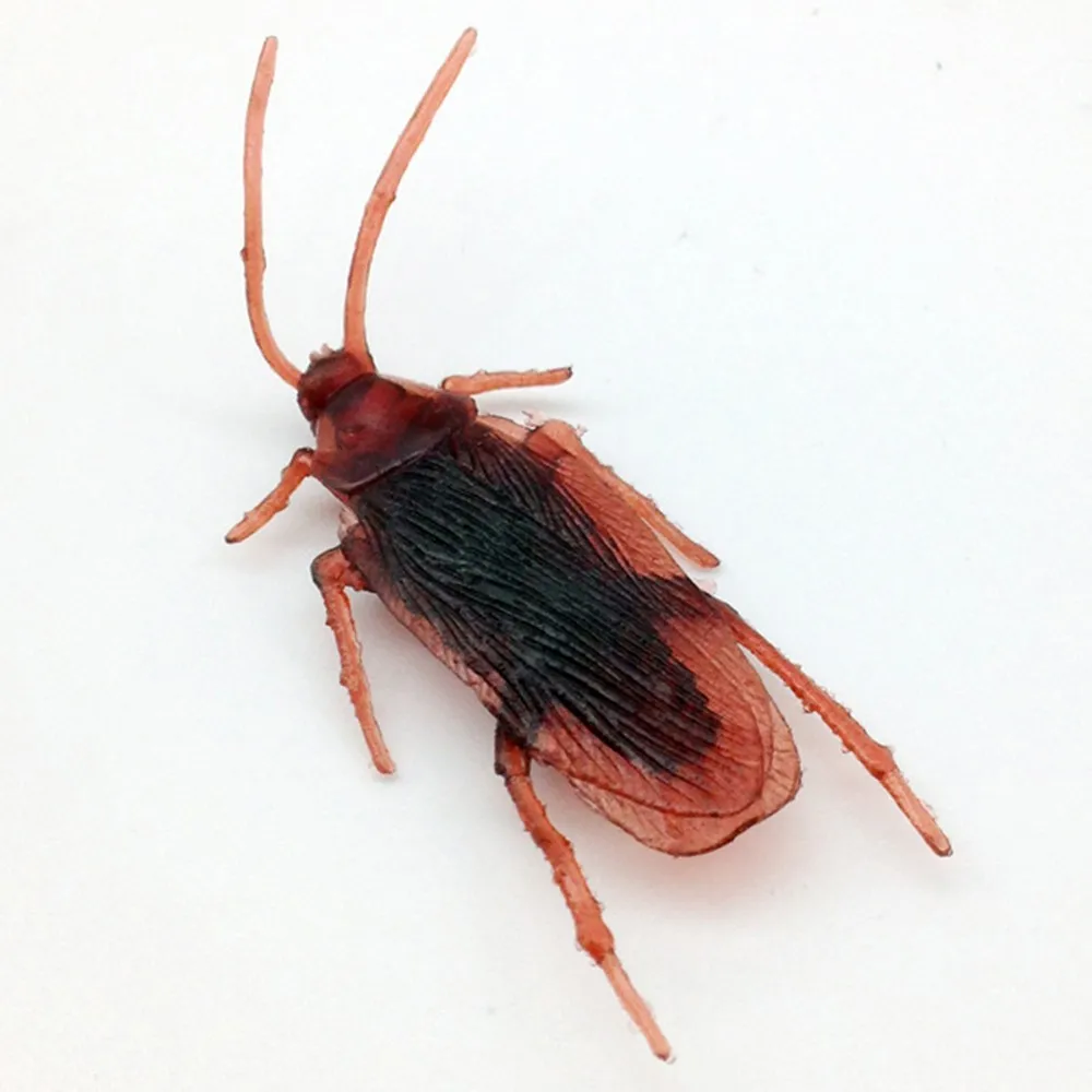 New Arrival 10*pcs Prank Funny Trick Joke Special Lifelike Model Fake Cockroach Roach Toy Amusing Prank Fantastic Interesting
New Arrival 10*pcs Prank Funny Trick Joke Special Lifelike Model Fake Cockroach Roach Toy Amusing Prank Fantastic Interesting