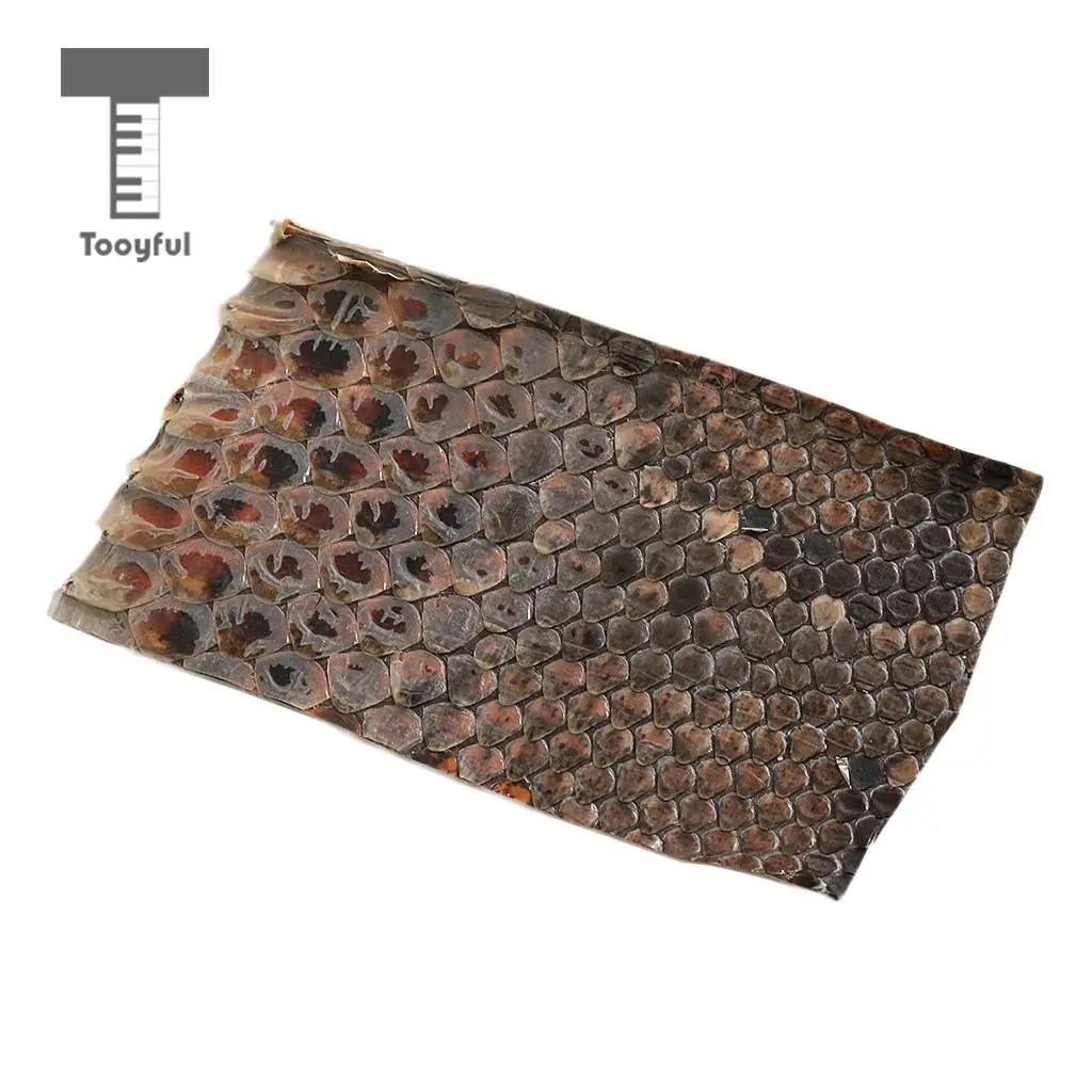 Tooyful Durable Erhu Side Skin Chinese Erhu Snakeskin for Erhu-player DIY Accessory
Tooyful Durable Erhu Side Skin Chinese Erhu Snakeskin for Erhu-player DIY Accessory
