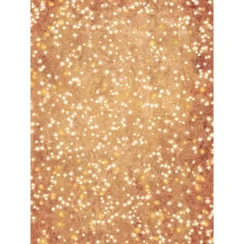 Sparkly Brown Scene Bling photography studio background Vinyl cloth High quality Computer print wall photo backdrop
Sparkly Brown Scene Bling photography studio background Vinyl cloth High quality Computer print wall photo backdrop