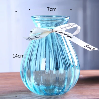 European glass vase hydroponic transparent living room colored glass vase hotel pattern flower arrangement decoration
European glass vase hydroponic transparent living room colored glass vase hotel pattern flower arrangement decoration