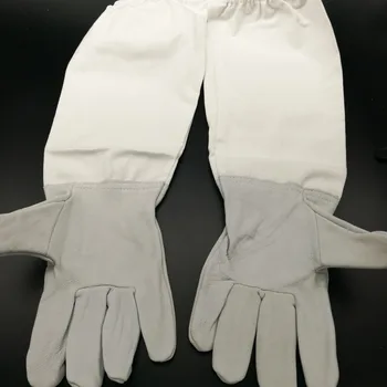 2016 Promotion Insect Terrarium Ant Farm House Ants Sheepskin Gloves Has Bee Apiculture Protective Tools Prevent The Sting Gown
2016 Promotion Insect Terrarium Ant Farm House Ants Sheepskin Gloves Has Bee Apiculture Protective Tools Prevent The Sting Gown