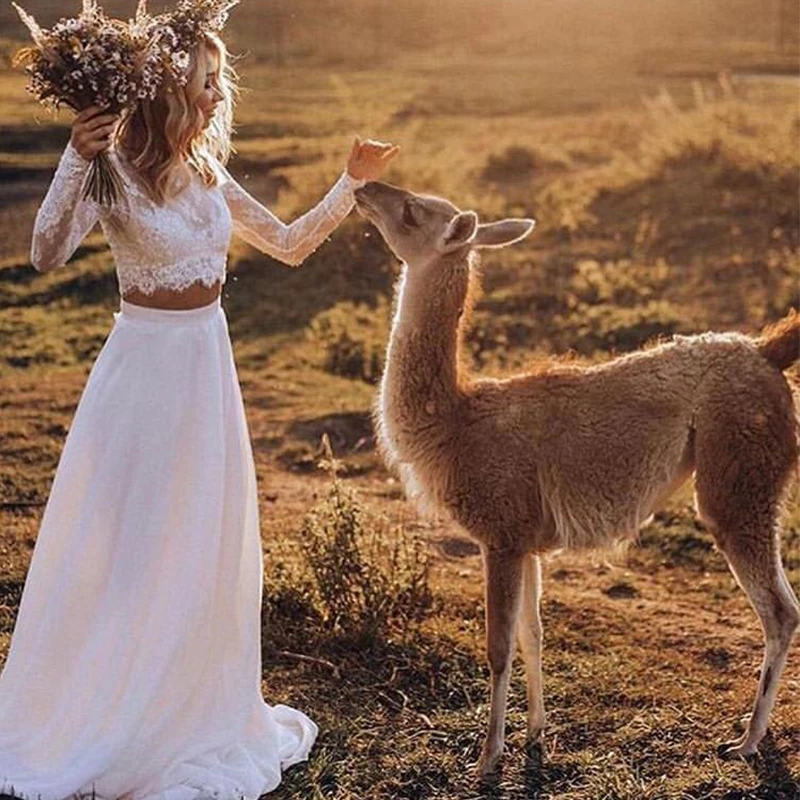 2019 Two Pieces Wedding Dresses Beach Lace Long Sleeves Full Length Sexy Bridal Dresses Covered Buttons Country Bride Dresses
2019 Two Pieces Wedding Dresses Beach Lace Long Sleeves Full Length Sexy Bridal Dresses Covered Buttons Country Bride Dresses