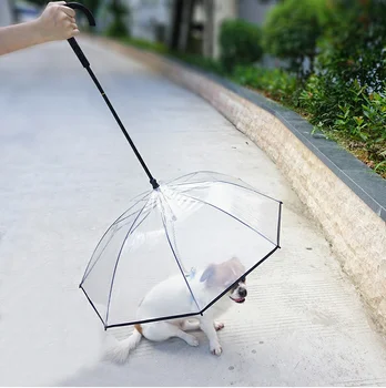 2017 New Assembled Transparent Dog Umbrella Creative Traction Rope Dog Raincoat with Dog Chain Can be Customized Pet Supplies
2017 New Assembled Transparent Dog Umbrella Creative Traction Rope Dog Raincoat with Dog Chain Can be Customized Pet Supplies