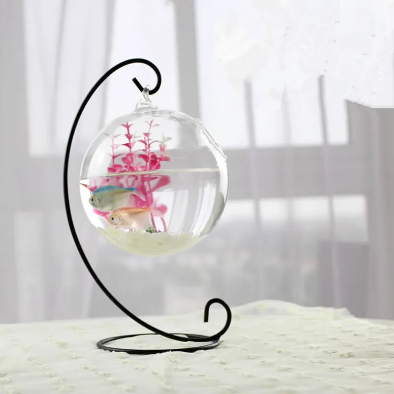 2pcs/pack Diameter=15cm Clear Glass Material Glass Terrarium Aquarium and 32cm Metal Stand Matching Home Decorative
2pcs/pack Diameter=15cm Clear Glass Material Glass Terrarium Aquarium and 32cm Metal Stand Matching Home Decorative