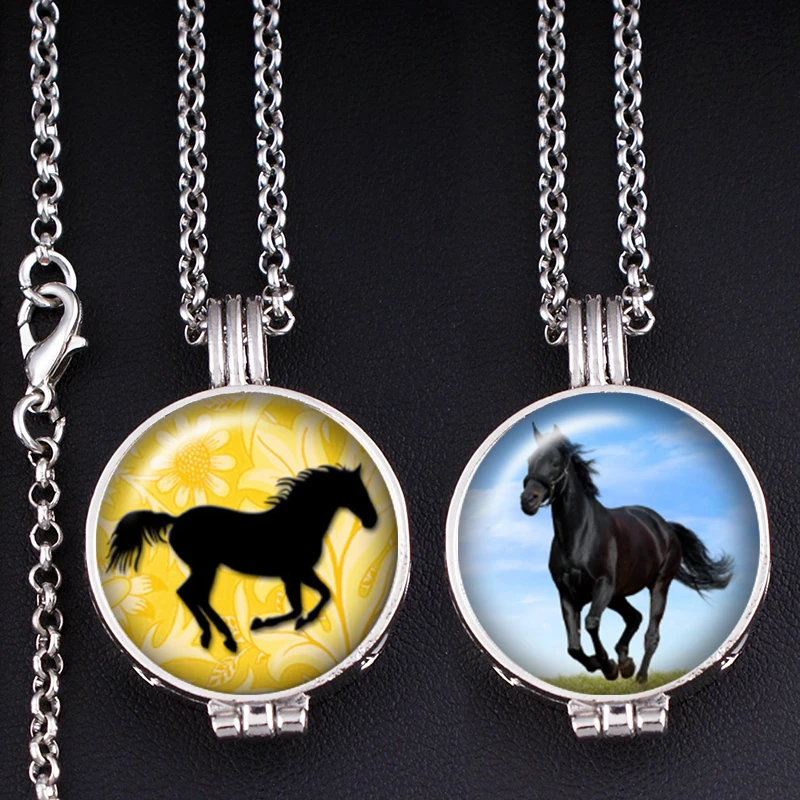 Horse Perfume Aroma Locket glass Incense necklace Fragrance Essential Oil Aromatherapy Diffuser XS610
Horse Perfume Aroma Locket glass Incense necklace Fragrance Essential Oil Aromatherapy Diffuser XS610