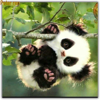Diy Diamond painting animal cross stitch 3d Square\Round diamond mosaic Rhinestone Full Diamond embroidery "Panda on the branch"
Diy Diamond painting animal cross stitch 3d Square\Round diamond mosaic Rhinestone Full Diamond embroidery "Panda on the branch"